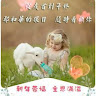 (分類:)位於 。 由 agnes210664 提交(商品編號 1456957755,圖片 1)。簡介: 。