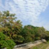 （分類：）位於 。 由 tetsu20 提交（商品編號 1386145098，圖片 1）。簡介： 。
