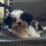 (Category: ) located in . Submitted by stopover_ph (Listing ID 1336085644, Image 1). Description: .