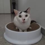 (Category: ) located in . Submitted by ss.hao.94 (Listing ID 1380227002, Image 1). Description: .