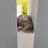 (Category: ) located in . Submitted by yyycho (Listing ID 1259357601, Image 1). Description: .