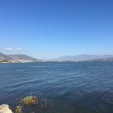 (Category: ) located in . Submitted by wl475756754 (Listing ID 1378106301, Image 1). Description: .
