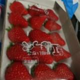 （分類：）位於 。 由 hoilaam9 提交（商品編號 1382435228，圖片 1）。簡介： 。