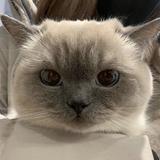由 vvv19951230 (刊登 ID 1380193115，圖片 1) 提交，位於 的 (類別：)，說明：。