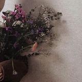 (Category: ) located in . Submitted by funbun (Listing ID 1376127811, Image 1). Description: .