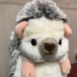 (Category: ) located in . Submitted by margiego (Listing ID 1344897717, Image 1). Description: .