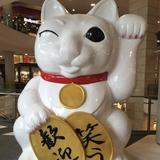 （分類：）位於 。 由 amy.mo 提交（商品編號 1361015956，圖片 1）。簡介： 。