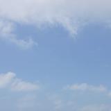 (Category: ) located in . Submitted by cl031 (Listing ID 1349723658, Image 1). Description: .