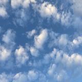 （分類：）位於 。 由 KHAHK 提交（商品編號 1383051888，圖片 1）。簡介： 。