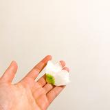 （分類：）位於 。 由 cbsell_ 提交（商品編號 1300700599，圖片 1）。簡介： 。