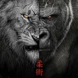 （分類：）位於 。 由 brianmma 提交（商品編號 1285642664，圖片 1）。簡介： 。