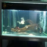 (Category: ) located in . Submitted by apai.fai (Listing ID 1378632943, Image 1). Description: .