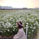 由 luby0844 (刊登 ID 1269849901，圖片 1) 提交，位於 的 (類別：)，說明：。