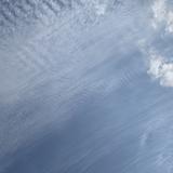 （分類：）位於 。 由 siminsiujau 提交（商品編號 1326535788，圖片 1）。簡介： 。