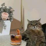 (Category: ) located in . Submitted by CatDrinkingCoffee (Listing ID 1377783779, Image 1). Description: .