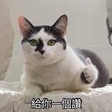 由 cheng195040746 (刊登 ID 1356205899，圖片 1) 提交，位於 的 (類別：)，說明：。