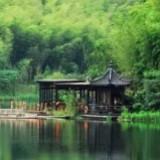 (Category: ) located in . Submitted by HomeItem0311 (Listing ID 1453063945, Image 1). Description: .