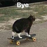 (Category: ) located in . Submitted by brokekids (Listing ID 1384593573, Image 1). Description: .