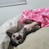 (Category: ) located in . Submitted by deborahtcy (Listing ID 1370399148, Image 1). Description: .