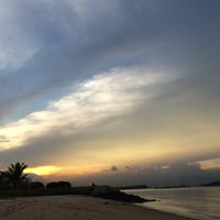 (Category: ) located in . Submitted by eva1030-88397 (Listing ID 1416169758, Image 1). Description: .