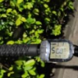 (Category: ) located in . Submitted by laa287 (Listing ID 264377062, Image 1). Description: .