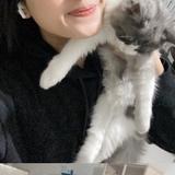 (Kategori: ) berada di . Dikirim oleh yrzky (ID iklan 1355661804, Gambar 1). Deskripsi: .
