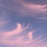 (Category: ) located in . Submitted by daisypoop (Listing ID 1374910006, Image 1). Description: .