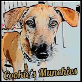 (Category: ) located in . Submitted by cookie_munchies (Listing ID 1461378272, Image 1). Description: .