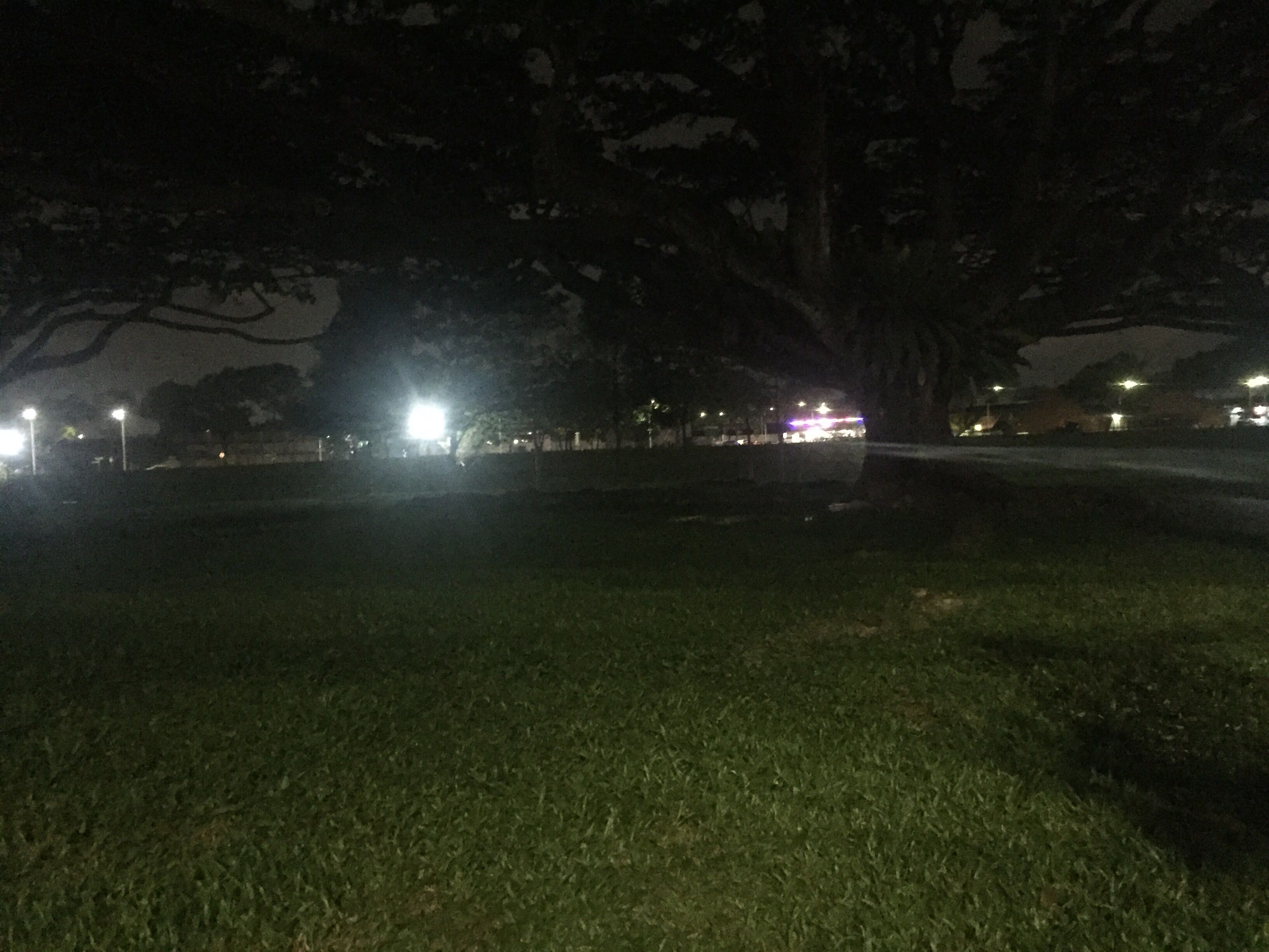 (Category: ) located in . Submitted by crankleninr (Listing ID 1385895859, Image 1). Description: .