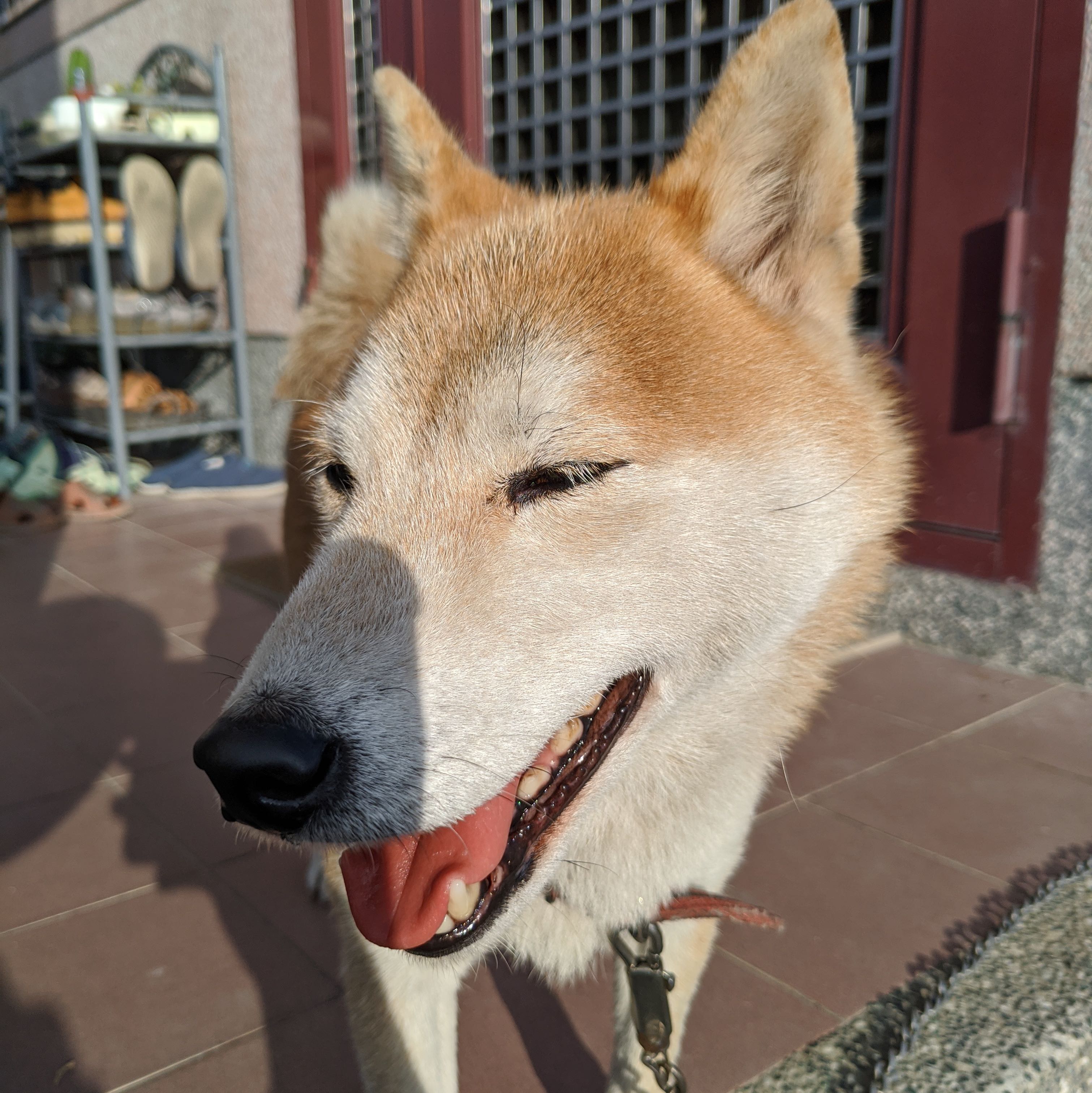 頭像