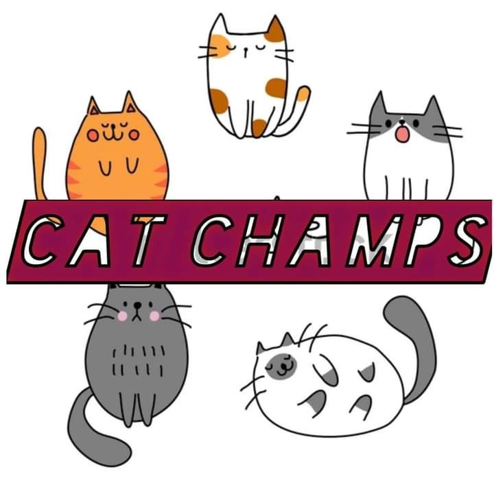 (Category: ) located in . Submitted by CAT_CHAMPS22 (Listing ID 1448580668, Image 1). Description: .