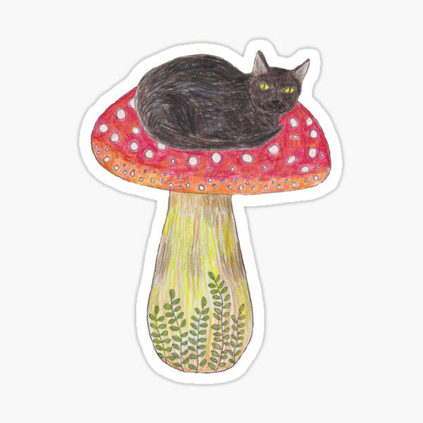 （分類：）位於 。 由 MushroomCcat 提交（商品編號 1155378904，圖片 1）。簡介： 。