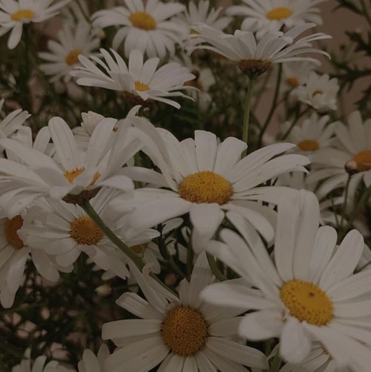 (Category: ) located in . Submitted by sugaaarr (Listing ID 1461599406, Image 1). Description: .