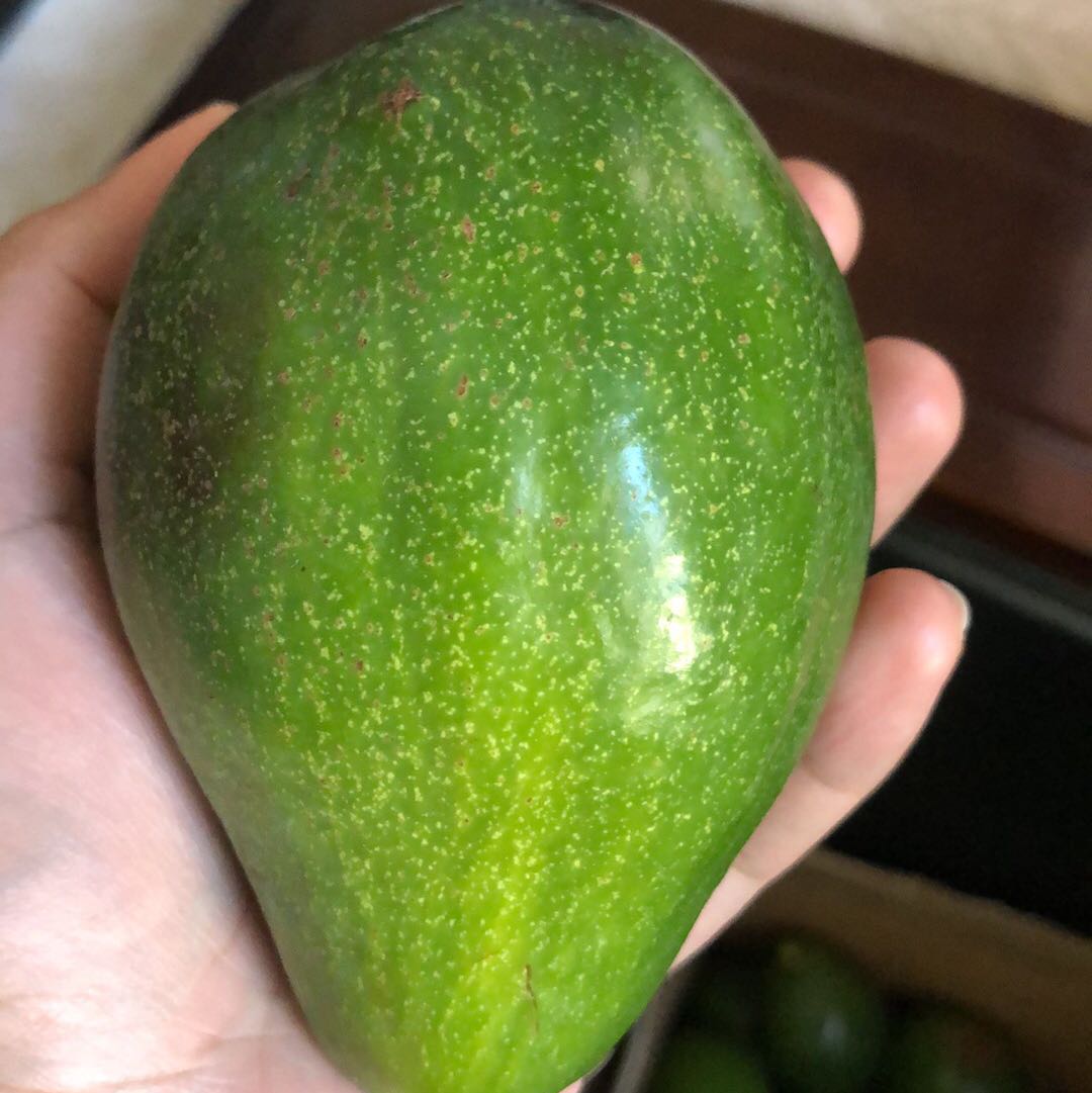 (Category: ) located in . Submitted by Avocadowss (Listing ID 1348483066, Image 1). Description: .