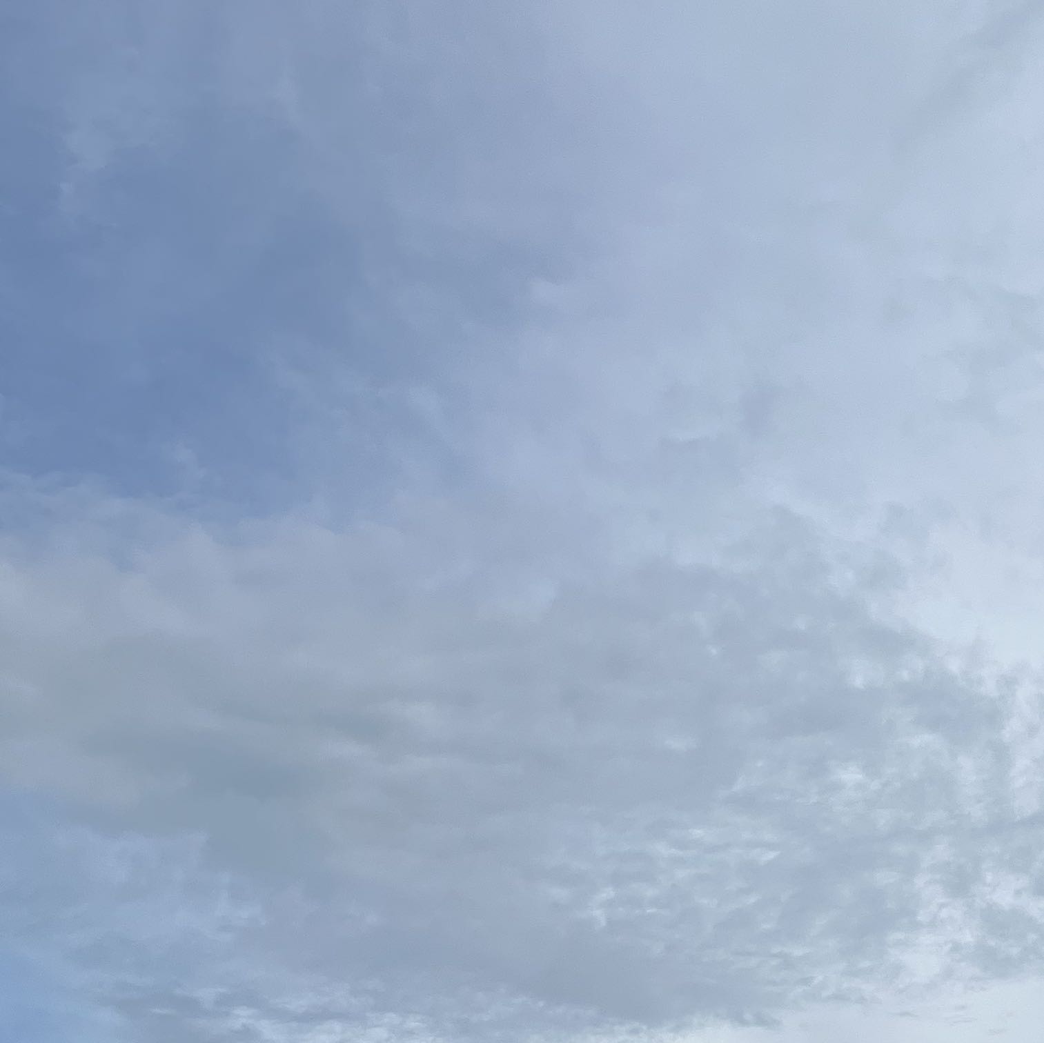 (Category: ) located in . Submitted by loveamara (Listing ID 1379773748, Image 1). Description: .