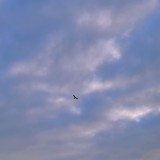 (分類:)位於 。 由 tingxxxi 提交(商品編號 1383618253,圖片 1)。簡介: 。
