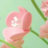 (Category: ) located in . Submitted by Blossomsbloom (Listing ID 1165115080, Image 1). Description: .