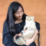 (Kategori: ) berada di . Dikirim oleh pileofstories (ID iklan 1358281215, Gambar 1). Deskripsi: .