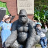 由 BabyJW (刊登 ID 1371727878，圖片 1) 提交，位於 的 (類別：)，說明：。