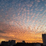 (Category: ) located in . Submitted by mrs.sschang (Listing ID 1465615085, Image 1). Description: .