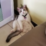(Category: ) located in . Submitted by kitty_cat28 (Listing ID 1385295612, Image 1). Description: .