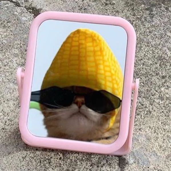 (Category: ) located in . Submitted by circaprima (Listing ID 1459598706, Image 1). Description: .