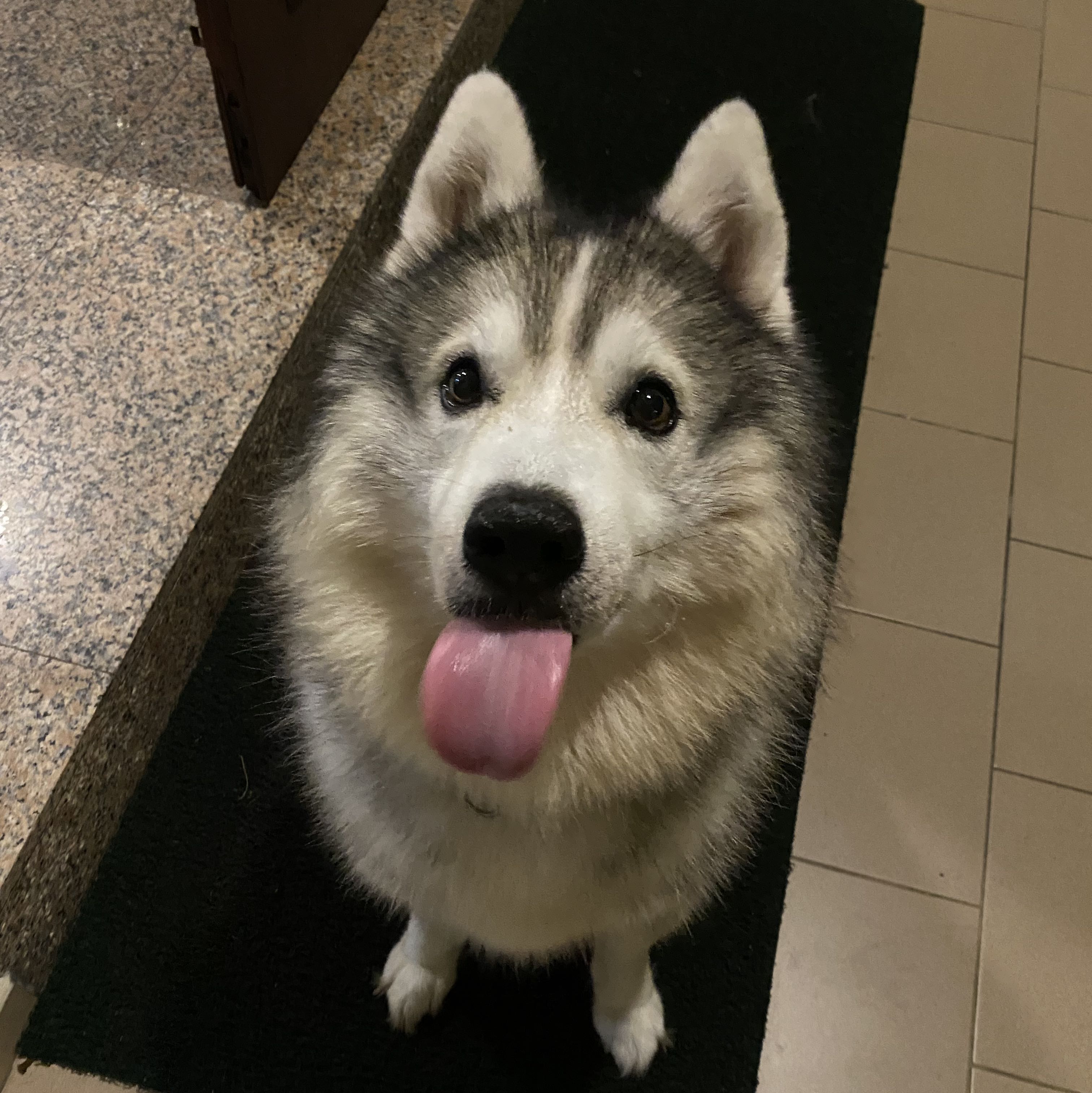 (Category: ) located in . Submitted by yrlaw (Listing ID 1373826627, Image 1). Description: .