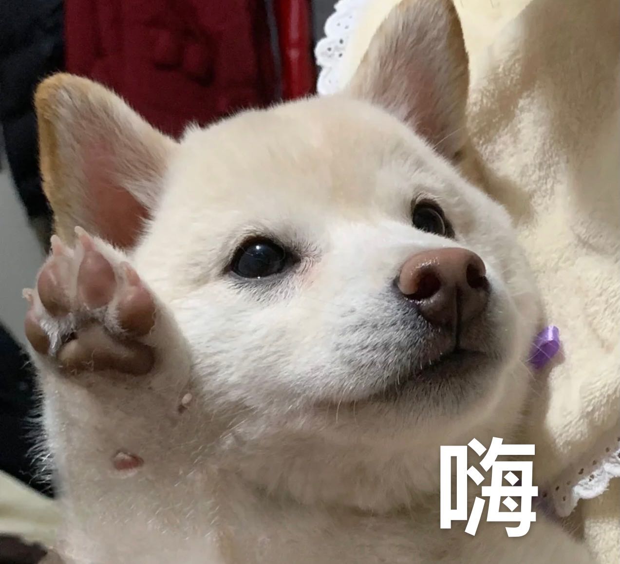 頭像