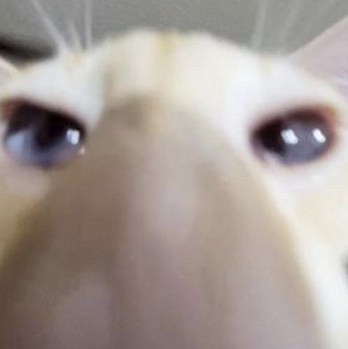 (Category: ) located in . Submitted by user292801 (Listing ID 1453969089, Image 1). Description: .