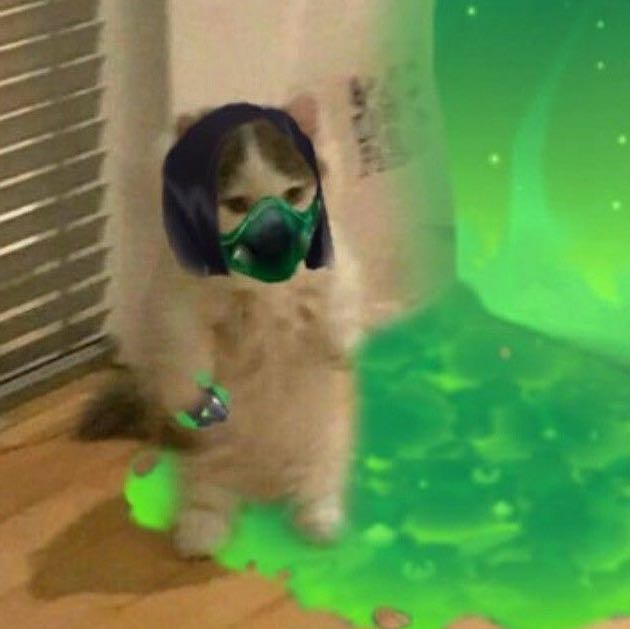 Avatar