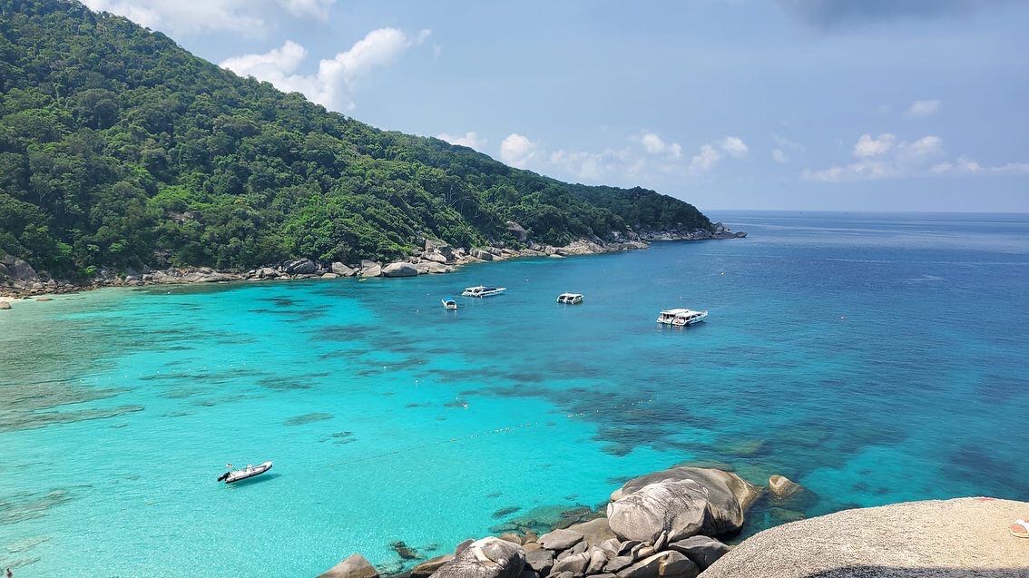 (Category: ) located in . Submitted by papaschew (Listing ID 1381289545, Image 1). Description: .