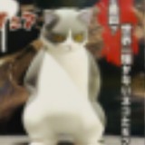 （分類：）位於 。 由 davidkingterry 提交（商品編號 1385315669，圖片 1）。簡介： 。