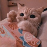 由 gdnsiq__ (刊登 ID 1384148642，圖片 1) 提交，位於 的 (類別：)，說明：。