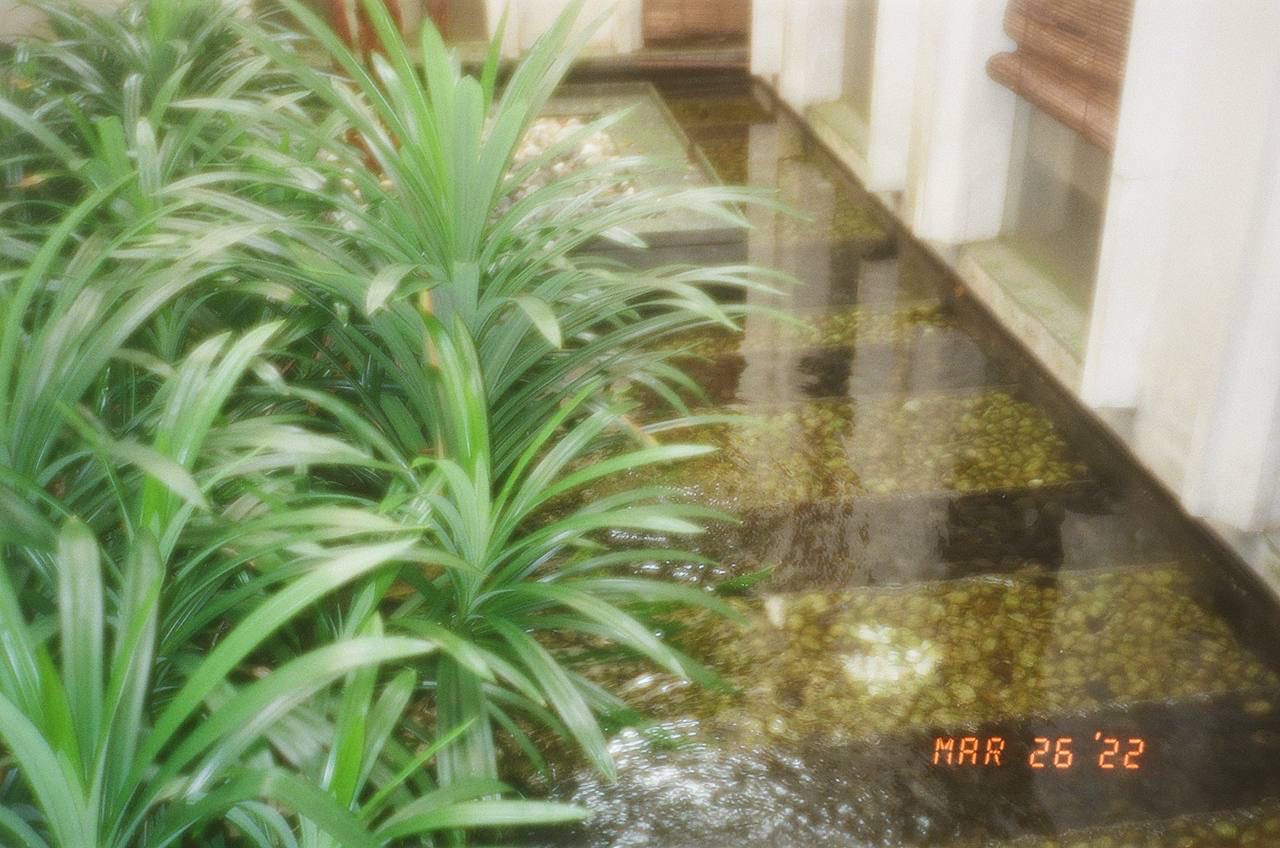 (Category: ) located in . Submitted by filzahfarruk (Listing ID 1454781649, Image 1). Description: .